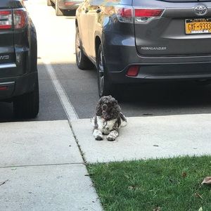 Meet your Posher, Richie